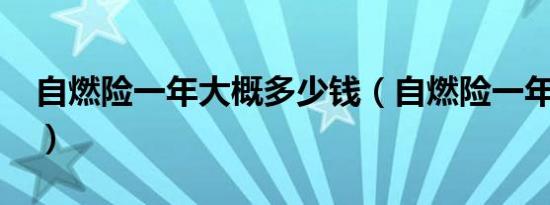 自燃险一年大概多少钱（自燃险一年多少钱?）