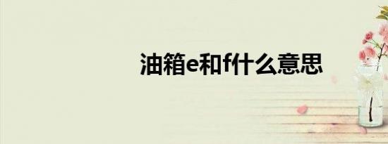 油箱e和f什么意思