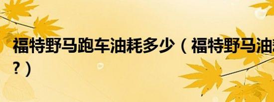 福特野马跑车油耗多少（福特野马油耗怎么样?）