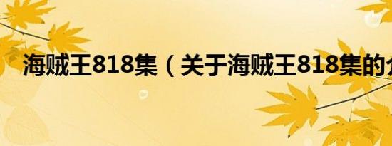 海贼王818集（关于海贼王818集的介绍）