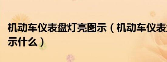 机动车仪表盘灯亮图示（机动车仪表盘上亮表示什么）