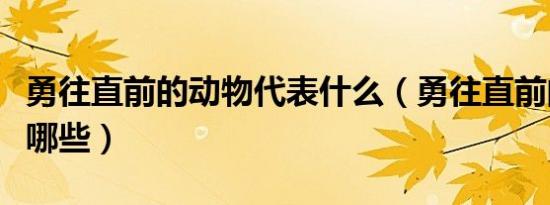 勇往直前的动物代表什么（勇往直前的动物有哪些）