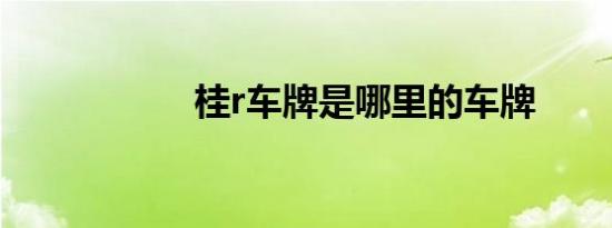 桂r车牌是哪里的车牌