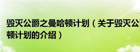 毁灭公爵之曼哈顿计划（关于毁灭公爵之曼哈顿计划的介绍）