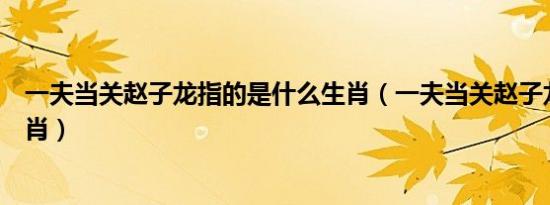 一夫当关赵子龙指的是什么生肖（一夫当关赵子龙是什么生肖）