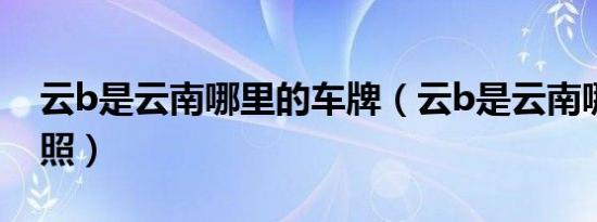 云b是云南哪里的车牌（云b是云南哪里的牌照）