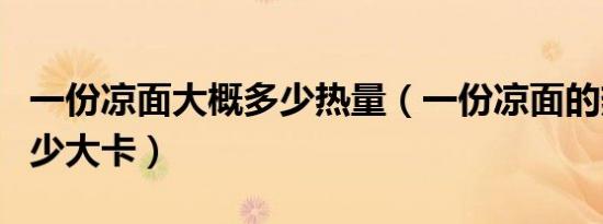 一份凉面大概多少热量（一份凉面的热量是多少大卡）