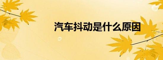 汽车抖动是什么原因