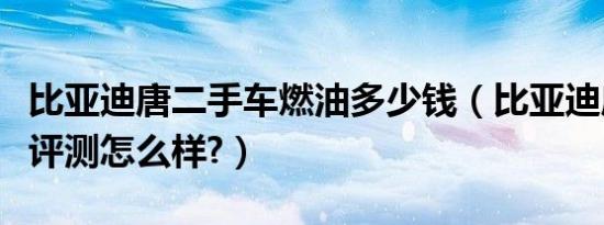 比亚迪唐二手车燃油多少钱（比亚迪唐燃油版评测怎么样?）
