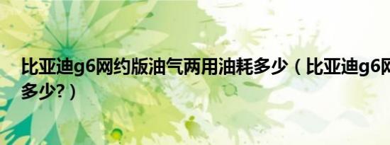 比亚迪g6网约版油气两用油耗多少（比亚迪g6网约版价格多少?）