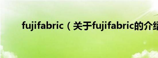 fujifabric（关于fujifabric的介绍）
