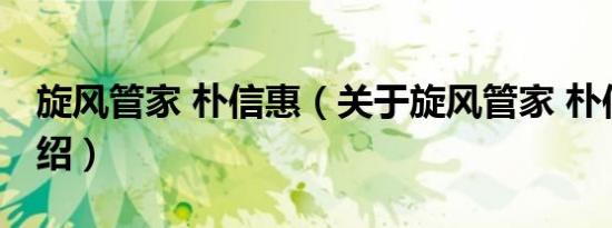 旋风管家 朴信惠（关于旋风管家 朴信惠的介绍）