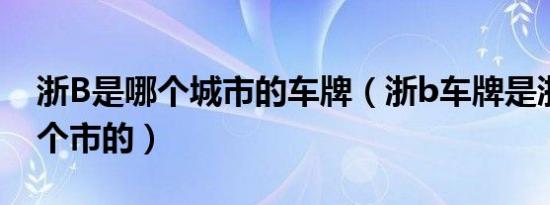 浙B是哪个城市的车牌（浙b车牌是浙江哪一个市的）