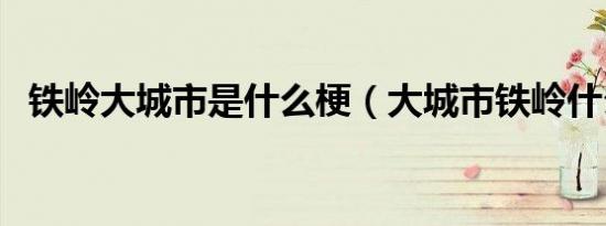 铁岭大城市是什么梗（大城市铁岭什么梗）