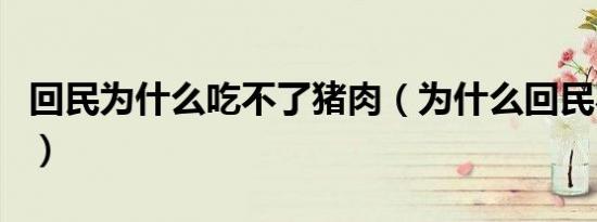 回民为什么吃不了猪肉（为什么回民不吃猪肉）