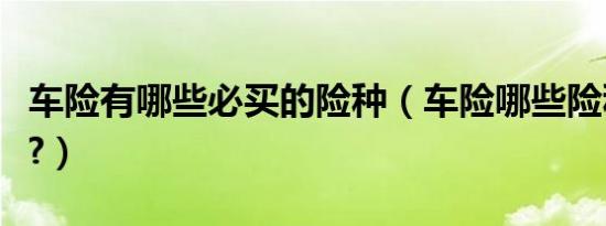 车险有哪些必买的险种（车险哪些险种不必买?）