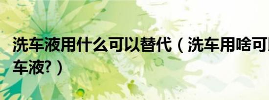洗车液用什么可以替代（洗车用啥可以替代洗车液?）