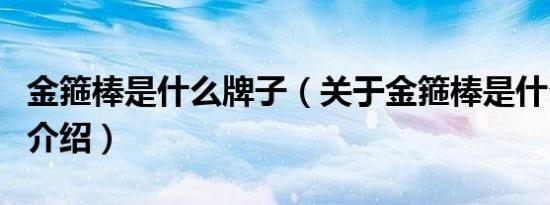 金箍棒是什么牌子（关于金箍棒是什么牌子的介绍）