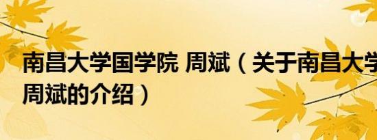 南昌大学国学院 周斌（关于南昌大学国学院 周斌的介绍）