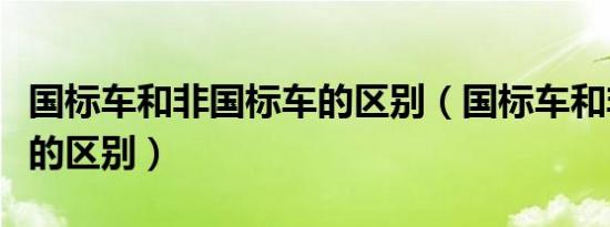 国标车和非国标车的区别（国标车和非国标车的区别）