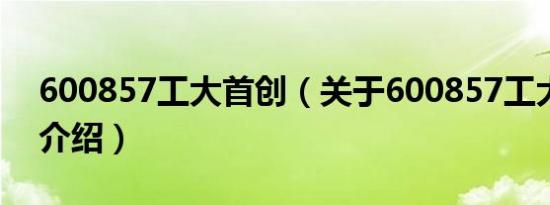 600857工大首创（关于600857工大首创的介绍）