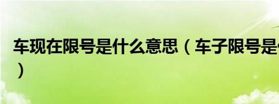 车现在限号是什么意思（车子限号是什么意思）