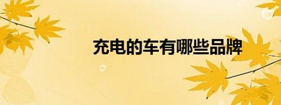充电的车有哪些品牌