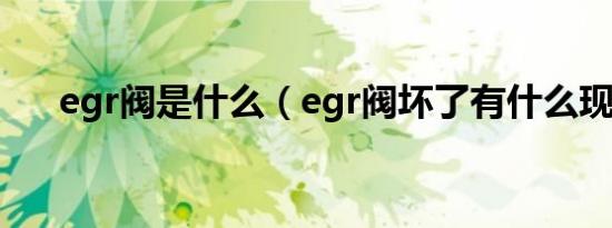 egr阀是什么（egr阀坏了有什么现象）