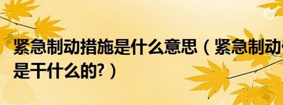紧急制动措施是什么意思（紧急制动什么意思是干什么的?）