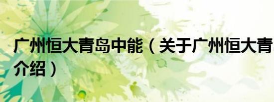 广州恒大青岛中能（关于广州恒大青岛中能的介绍）