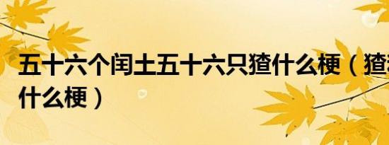 五十六个闰土五十六只猹什么梗（猹和闰土是什么梗）