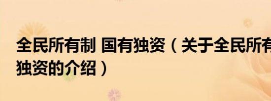 全民所有制 国有独资（关于全民所有制 国有独资的介绍）