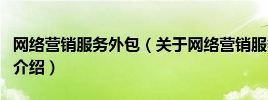 网络营销服务外包（关于网络营销服务外包的介绍）