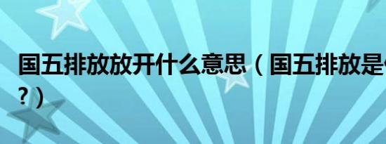 国五排放放开什么意思（国五排放是什么意思?）