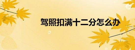 驾照扣满十二分怎么办