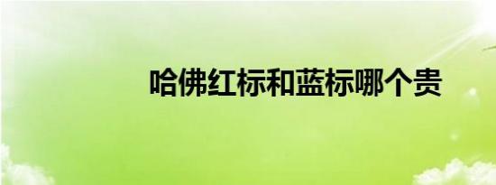 哈佛红标和蓝标哪个贵