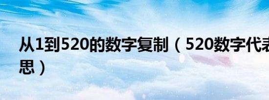 从1到520的数字复制（520数字代表什么意思）