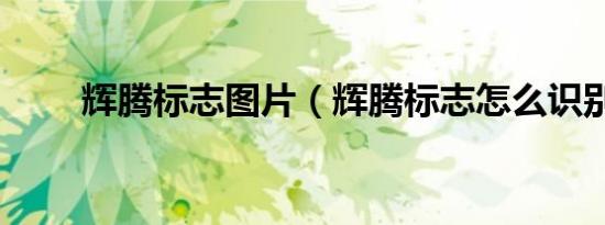 辉腾标志图片（辉腾标志怎么识别）