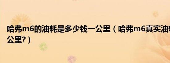 哈弗m6的油耗是多少钱一公里（哈弗m6真实油耗多少钱一公里?）