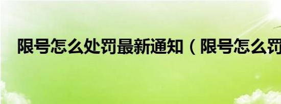 限号怎么处罚最新通知（限号怎么罚款?）
