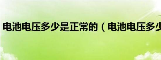 电池电压多少是正常的（电池电压多少正常）
