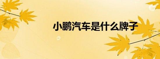 小鹏汽车是什么牌子