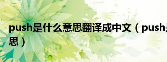 push是什么意思翻译成中文（push是什么意思）