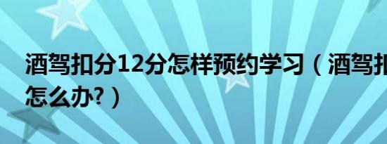 酒驾扣分12分怎样预约学习（酒驾扣分12分怎么办?）
