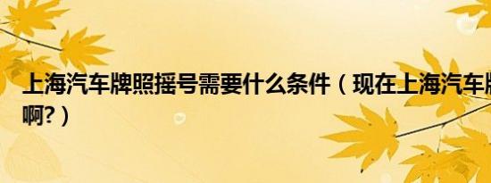 上海汽车牌照摇号需要什么条件（现在上海汽车牌照多少钱啊?）