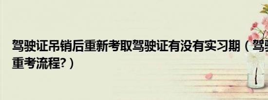 驾驶证吊销后重新考取驾驶证有没有实习期（驾驶证吊销后重考流程?）