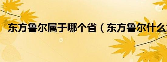 东方鲁尔属于哪个省（东方鲁尔什么意思）