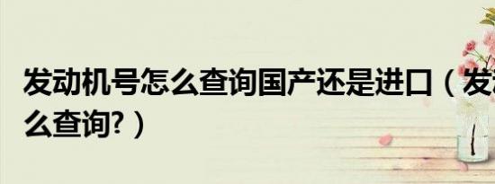 发动机号怎么查询国产还是进口（发动机号怎么查询?）