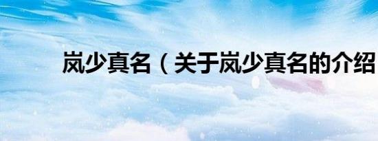 岚少真名（关于岚少真名的介绍）