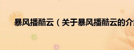 暴风播酷云（关于暴风播酷云的介绍）